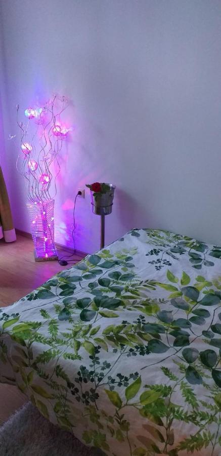 Aphrodite Rose Sunny Beach Eksteriør billede